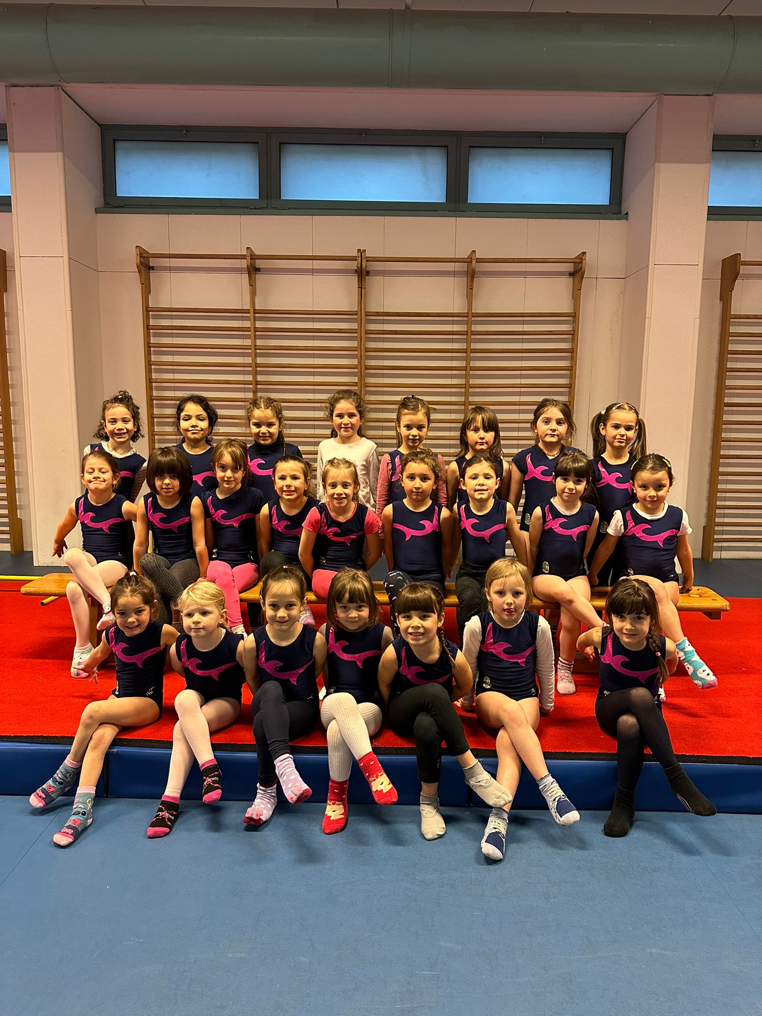 Corso Base — ginnastica artistica Mori S. Stefano