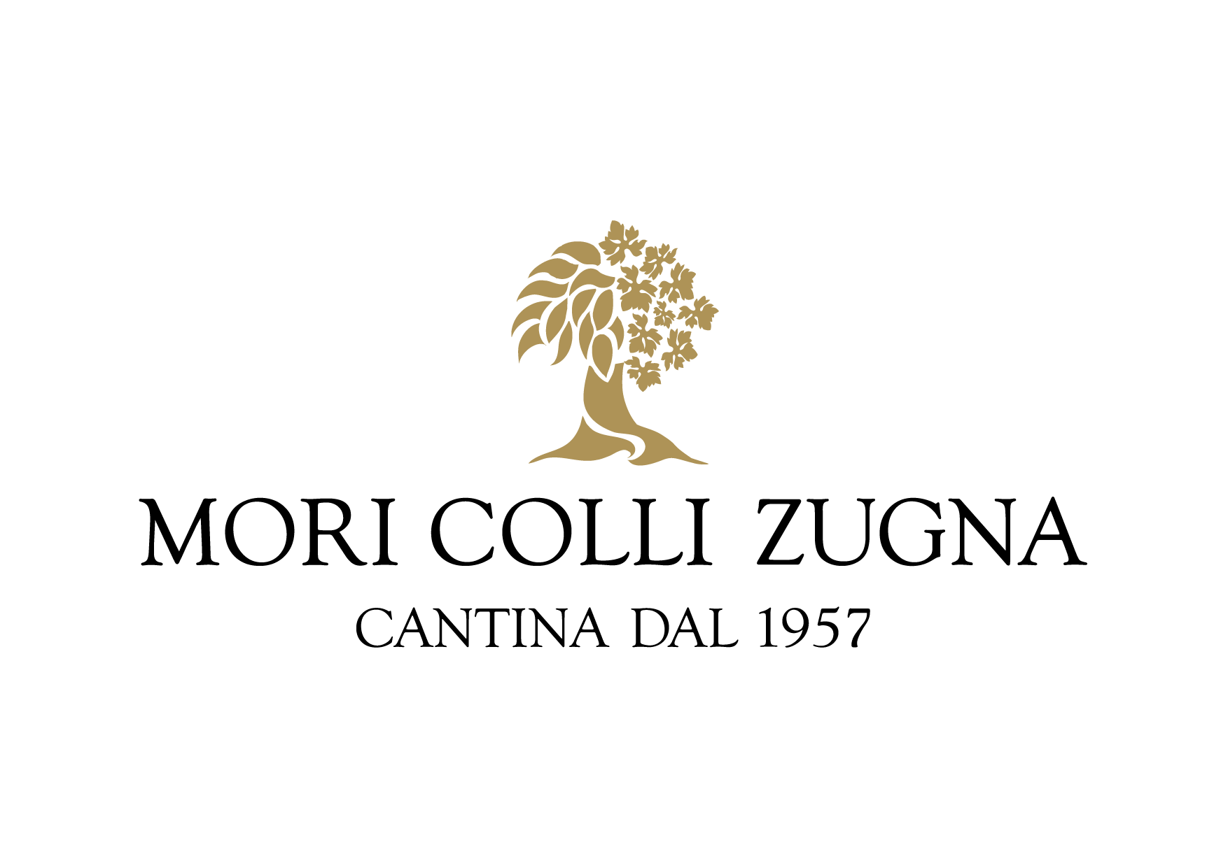 logo MORI COLLI ZUGNA